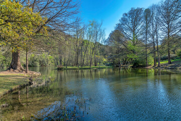 Fototapeta na wymiar Beautiful landscape of Bull Creek in Austin Texas with stream on a sunny day