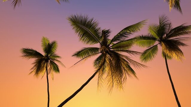 
Travel trip to the tropics with palm trees and vacation at sea at sunset.