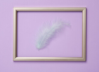Soft feather in golden frame on a pastel background