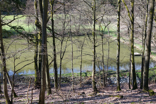 Teich bei Cleeberg im Taunus