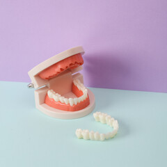 Human jaw model in false teeth on two tone pastel background. Creative Minimal still life. Dental care concept