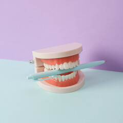 Human jaw model with pen on two color pastel background. Creative idea. Business concept