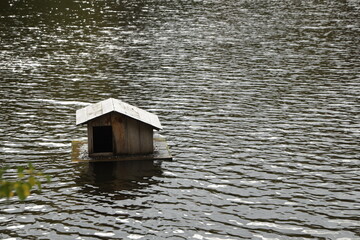 Wooden house for animals in the lake
