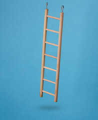 Wooden ladder evitating on blue background with shadow. Leadership, career growth, business concept.