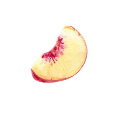 Watercolor hand drawing peach fruit slice