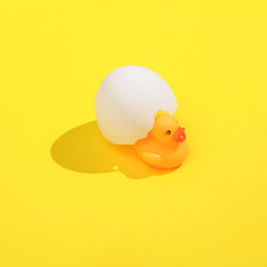 Creative layout with hatched duckling from egg. Bright yellow background with shadow. Visual summer trend. Minimalistic aesthetic still life. Fresh idea