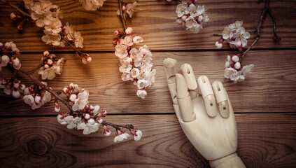 Wooden hand and beautiful white flowering branches on wooden background. Springtime concept