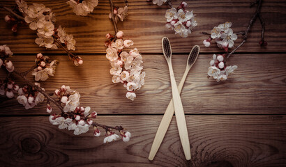 Obraz na płótnie Canvas Eco bamboo toothbrushes and beautiful white flowering branches on wooden background. Springtime, eco concept. Flat lay, top view.