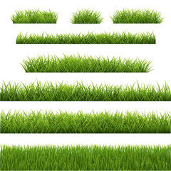 Big Set Grass Panorama With White Background