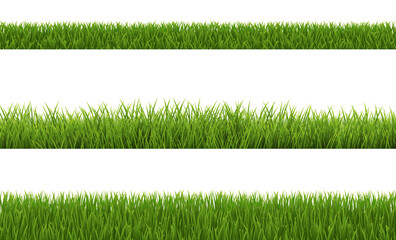 Green Grass Collection With White Background