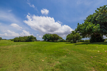 Fototapeta na wymiar Beautiful landscape view of green grass golf field on green trees background. Aruba. 