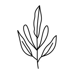 Obraz premium flower plant line design collection (leaf, flower, plant