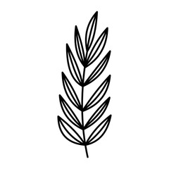 flower plant line design collection (leaf, flower, plant