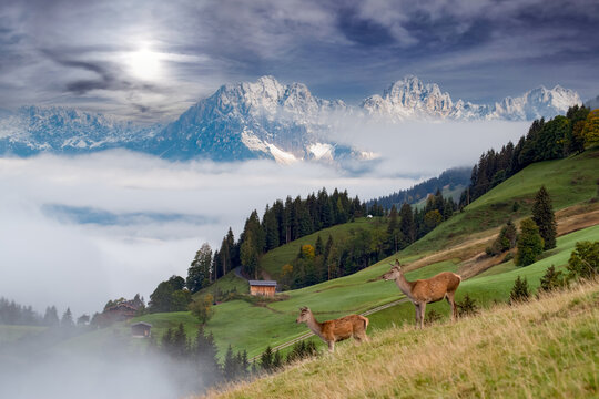 Wunderbare Bergwelt in Aurach, Tirol