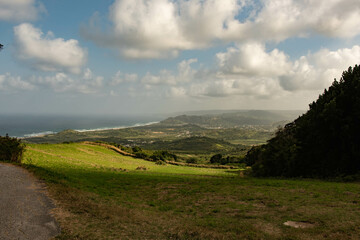 Fototapeta na wymiar Green Valley Landscape in Barbados
