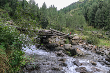 On descent from Preintaler refuge down to Riesach valley, Styria, Austria.