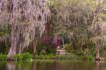 Fototapeten Azalee Beautiful spring garden with trees, azalea flowers blooming and Spanish Moss seen from South Carolina  © littleny