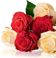 Beautiful yellow and red roses on background © BillionPhotos.com