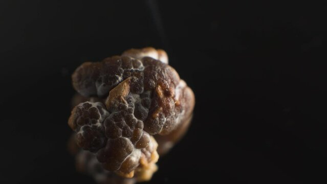 Close-up of a phosphate rock. Stone kidney disease. Selective focus motion extreme macro