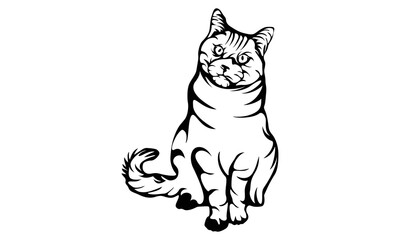 Cute cat Hand drawn vector portrait, isolated illustration in black color on white background 