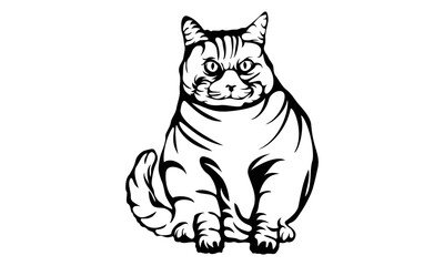 Fototapeta na wymiar Cute cat vector. Illustration of playful, Hand drawn vector portrait