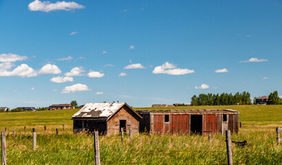 Obraz premium Rustic farm buildings in a field. Rockyview County, Alberta, Canada