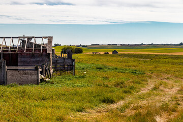 Fototapeta premium Rustic farm buildings in a field. Rockyview County, Alberta, Canada