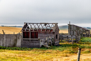 Fototapeta na wymiar Rustic farm buildings in a field. Rockyview County, Alberta, Canada