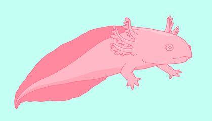 cartoon about the pink sea of the axolotl. drawn in the style of a sketch, they represent an isolated element of a marine aquarium amphibian reptile with a pink tail and paws on blue