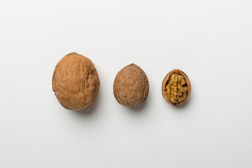 Different sizes walnuts on white background, top view