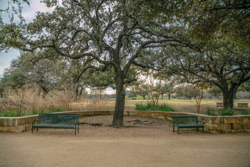 Metal benches at a scenic park with lush trees landscape in Austin Texas