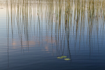 Reflection of the sky and pink clouds  in the lake, water lines on the surface. Wallpaper, background, texture, pattern