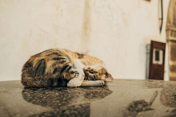 Obraz premium Casablanca, Morocco 21-10-2022: Habous district in casablanca