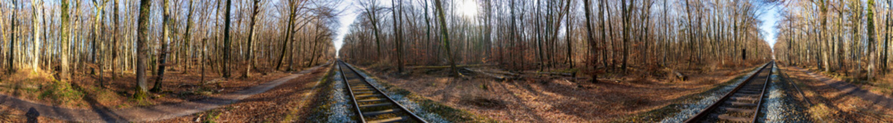 Landschaftsbilder mit geraden Schienenweg durch einen Wald