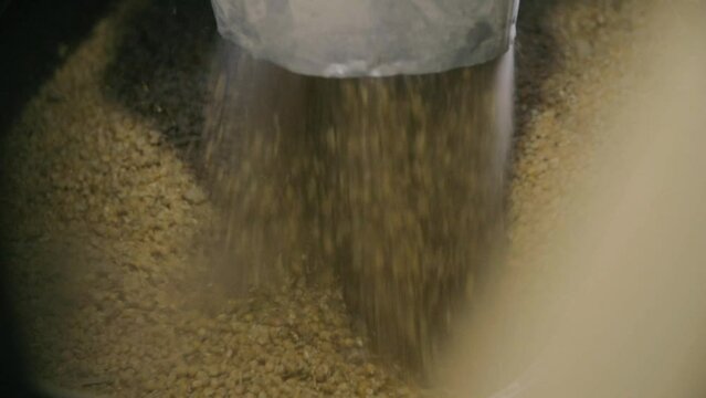 Close-up big heap of falling wheat grains. Concept of agronomy, agriculture or harvesting.