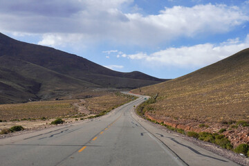 Paisaje en ruta desde Uyuni a Potosí (Potosi), con plantas semi desérticas y cerros de fondo