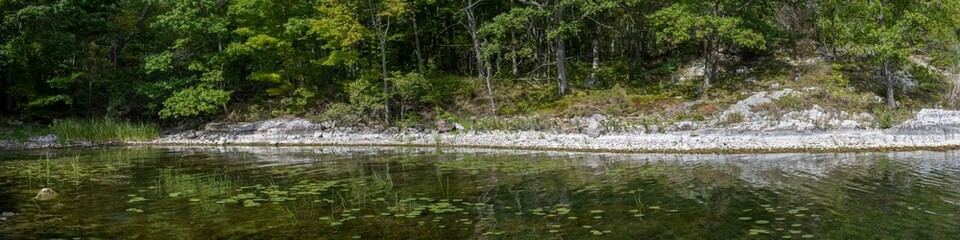 Panoramic view of a forest along the St. Lawrence River