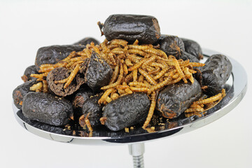 Pet and Dog food, snack sausage from hermetia larvae