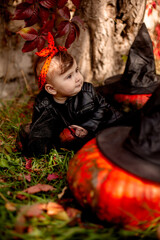 Female toddler in black dress against the Halloween pumpkin