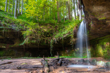 natürlicher Wasserfall mit Felsen und grünen Moos im Pfälzer Wald in Deutschland