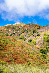 mountain with foliage 