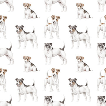 Jack Russel Seamless Pattern