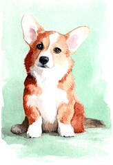 Portrait of a red and white welsh corgi pembroke dog. Entire figure of a seated dog looking straight ahead. Illustration done with watercolour paints. 