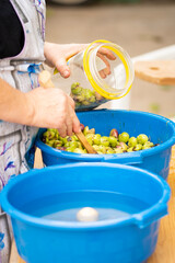 delicious Spanish olives