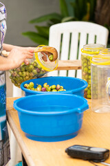 delicious Spanish olives