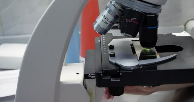 A laboratory assistant examines biological material under a microscope. In the laboratory, a laboratory assistant examines bird droppings for infection with parasites or protozoa.