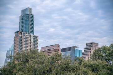 Modern glass buildings behind thick lush green foliage in Austin Texas