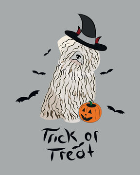 Dog Halloween greeting card with a sitting Komondor dog. Dog in a costume, pumpkin in a paw. Postcard for pet lovers. Pet character postcard art. Funny dog mascot. Witch spooky card.