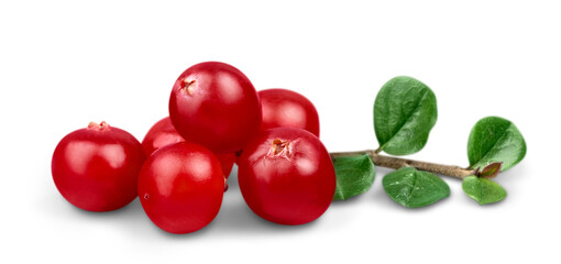 Red ripe cranberries isolated on white
