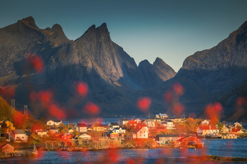Beautiful and atmospheric beaches in the Lofoten archipelago in Northern Norway. Autumn